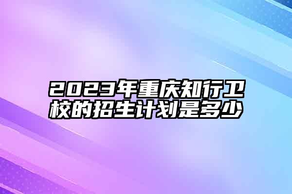 2023年重庆知行卫校的招生计划是多少