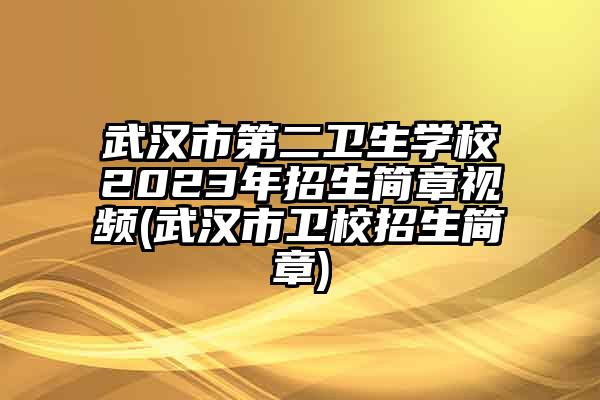 武汉市第二卫生学校2023年招生简章视频(武汉市卫校招生简章)