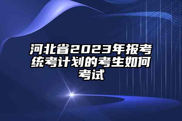河北省2023年报考统考计划的考生如何考试